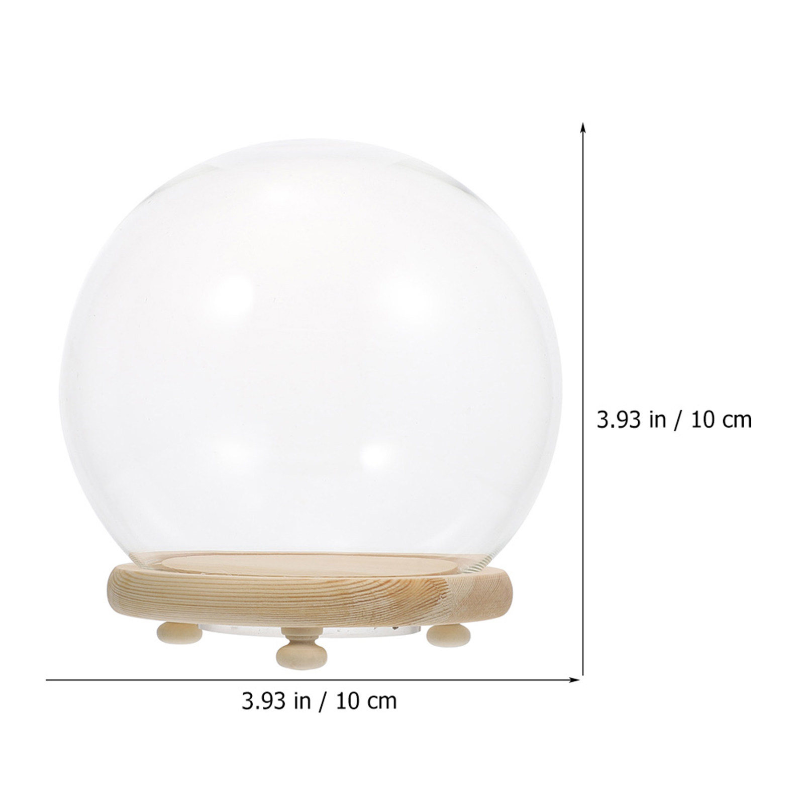 Прозрачный стеклянный купол дл – обзор и цена Plastic Dome Clear